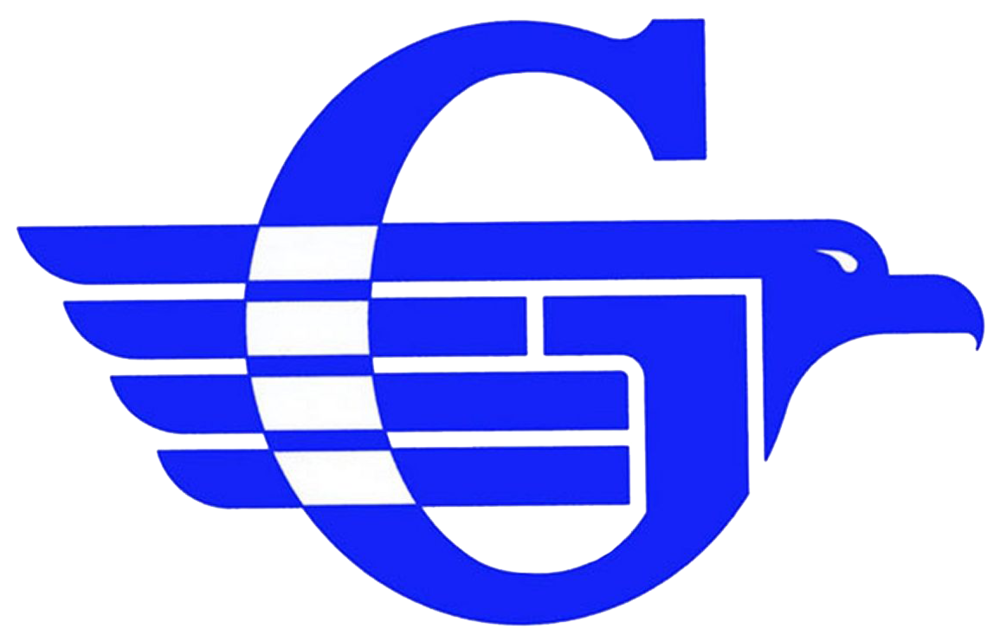 Flying G Logo