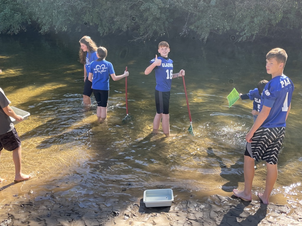 Students participating in river study